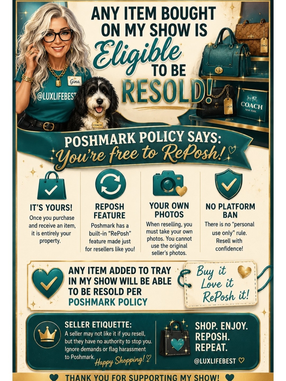 Live Flyer Show bundle Info - Picture 9 of 11